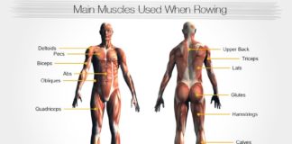 Benefits of a Rowing Machine