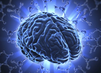 Alpha Levo IQ Review Brain Supplement Alpha Levo IQ Scam