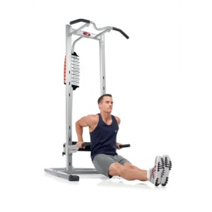 Bowflex Power Tower Review