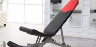 Bowflex SelectTech Adjustable Bench Series 3.1 vs 5.1 Bowflex Weight Bench