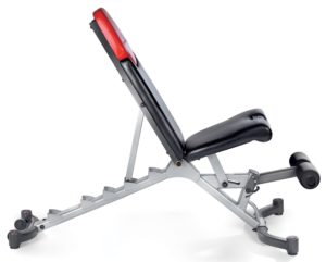 bowflex selecttech 3.1