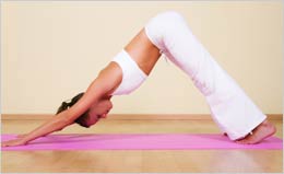 kris fondran shapeshifter yoga