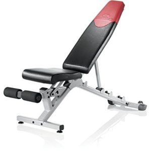 bowflex 4.1 bench