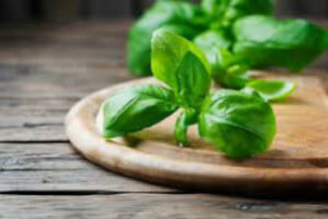 adaptogen herbs
