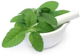 adaptogen blend