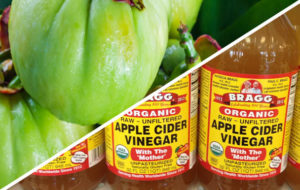 garcinia cambogia and apple cider vinegar