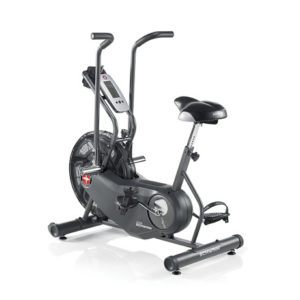 schwinn ad6 airdyne