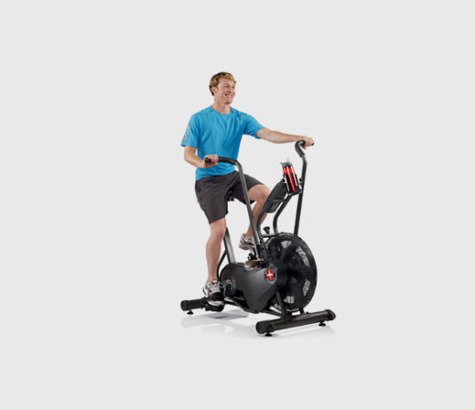Schwinn Airdyne AD6 Review