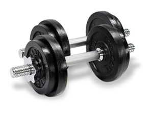 dumbbells adjustable