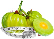 garcinia cambogia benefits