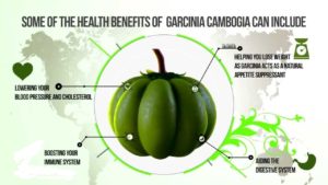 garcinia cambogia health benefits