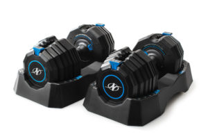 nordic track dumbbells