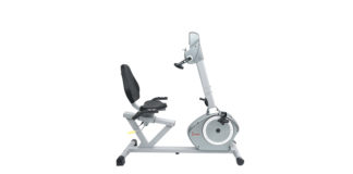 Sunny Recumbent Bike with Arm Exerciser