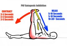 Autogenic Inhibition