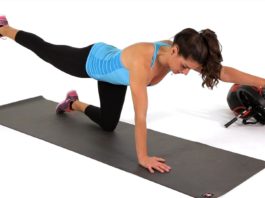 Bird Dog Exercise