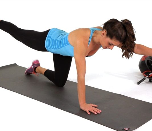 Bird Dog Exercise