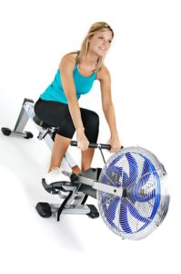 best rowing machines under $500