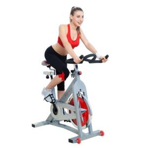 best spin bikes for home gym under 300 dollars