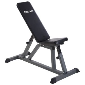 adjustable workout bench for under 100