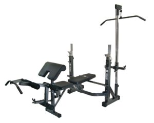 top rated home gym equipment under 300 dollars