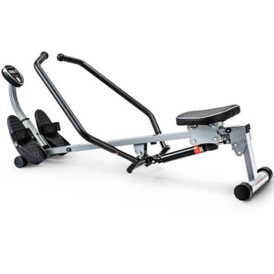 best indoor rower under 100 dollars