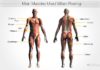 Benefits of a Rowing Machine