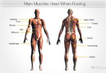 Benefits of a Rowing Machine