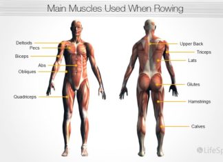Benefits of a Rowing Machine