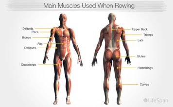 Benefits of a Rowing Machine