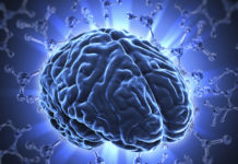Alpha Levo IQ Review Brain Supplement Alpha Levo IQ Scam