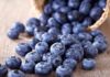 The Many Health Benefits of Blueberries benefits of blueberries