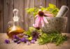 7 Adaptogen Herbs to Lower Cortisol