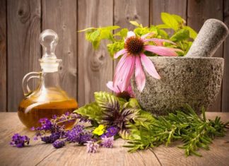 7 Adaptogen Herbs to Lower Cortisol