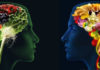 Brain Foods That Help You Concentrate