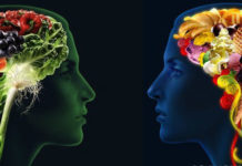 Brain Foods That Help You Concentrate