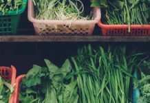 ONNIT Earth Grown Nutrients Review