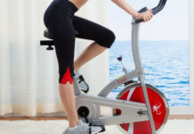 Sunny Health & Fitness Indoor Cycle Trainer Review