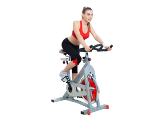 Sunny Health and Fitness Pro Indoor Cycling Bike Review
