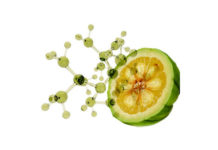 Garcinia Cambogia Benefits