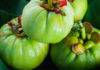 NatureWise Garcinia Cambogia Extract Review