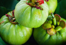 NatureWise Garcinia Cambogia Extract Review