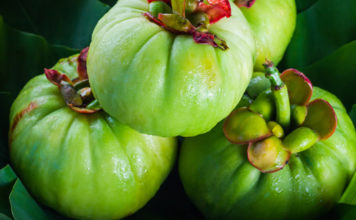 NatureWise Garcinia Cambogia Extract Review