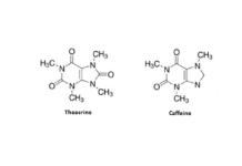 Theacrine – Is It the Right Alternative to Caffeine?