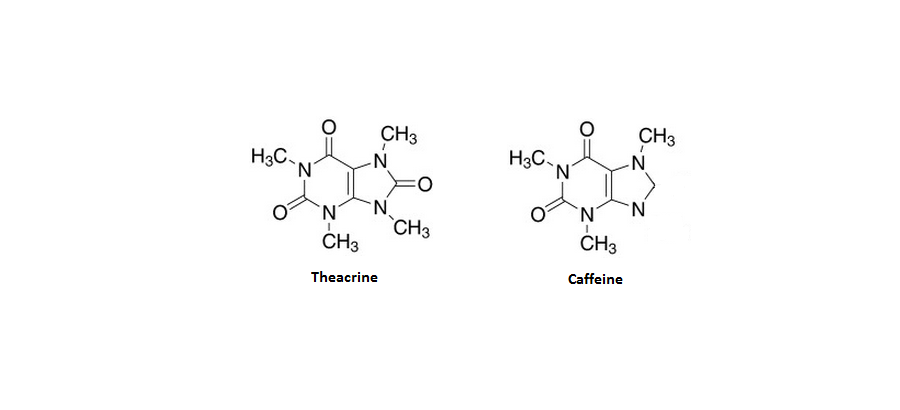 Theacrine-featured