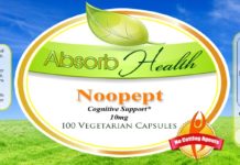 Noopept – A Highly Effective Supplement to Boost Your Brain
