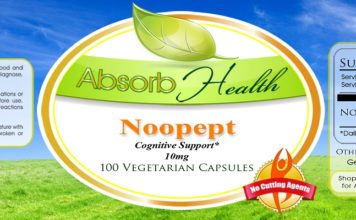 Noopept – A Highly Effective Supplement to Boost Your Brain