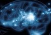 What Are Nootropics?