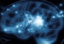 What Are Nootropics?