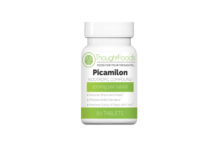 Picamilon – An Effective Supplement to Boost Brain Functions