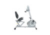 Sunny Recumbent Bike with Arm Exerciser